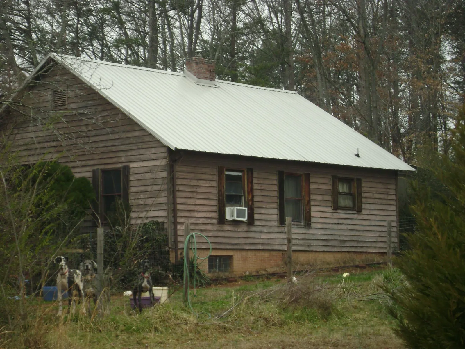 White metal roof on an old wood sided farmhouse, from a Asphalt Shingle Roof Repair job in Portersville